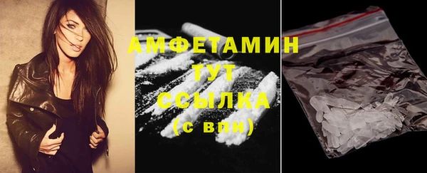 шишки Арсеньев