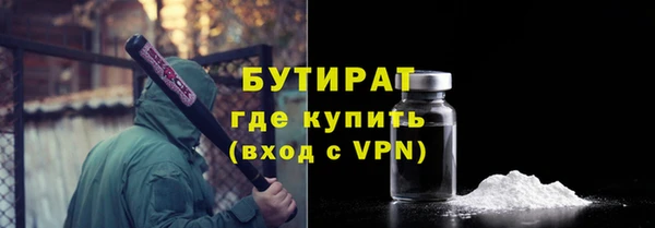 шишки Арсеньев