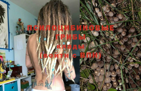 не бодяженный Армянск