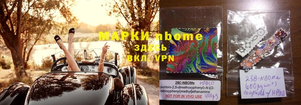 шишки Арсеньев