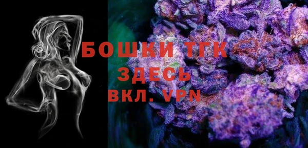 шишки Арсеньев